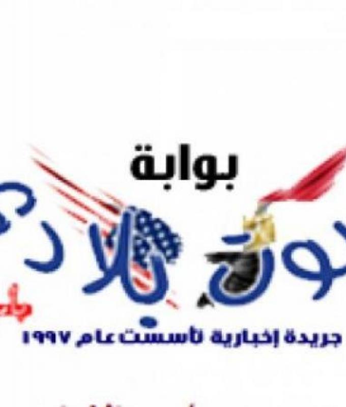 طرح أفيشات "تماسيح النيل" لـ خالد الصاوى ومصطفى خاطر استعدادًا لعرضه 26 يناير