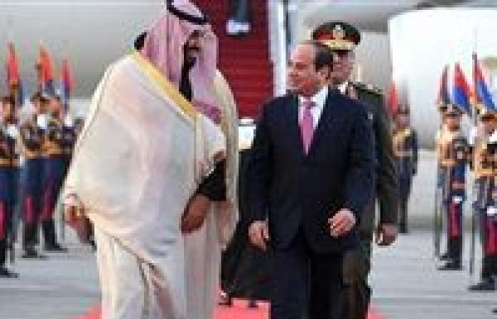 "مصر مهمة للعبور السعودي لأفريقيا".. ماذا قال محللو الخليج عن زيارة "بن سلمان" إلى القاهرة؟