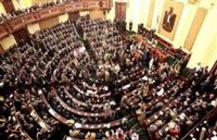 "معالجة القصور التشريعي للبرلمان وتأهيل الكوادر".. ما هي أهمية مجلس الشيوخ؟