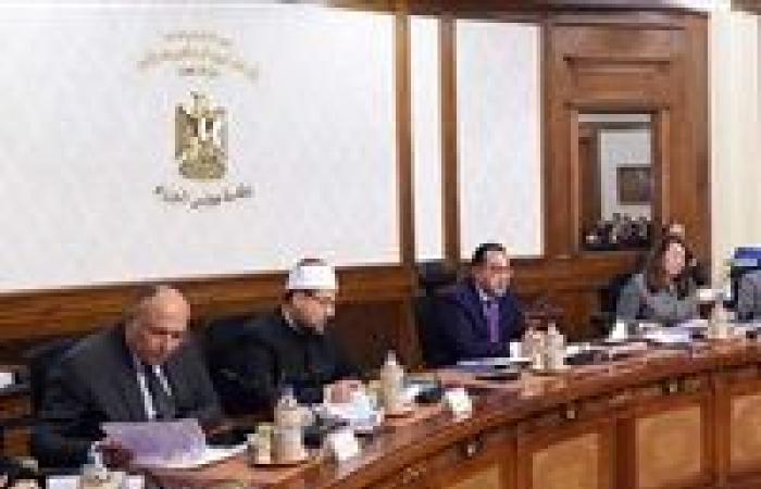 "تخصيص أراضي بشمال سيناء لإقامة مشروعات".. 12 قرار للحكومة في اجتماعها الإسبوعي