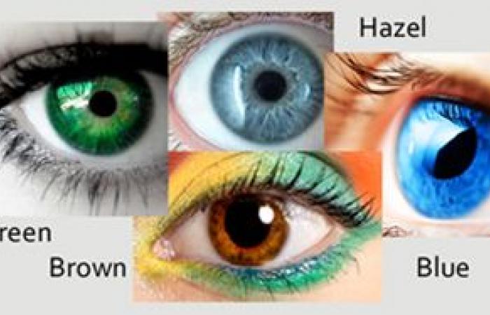 العرق يمد لسابع جد.. كيف تتحكم الجينات فى شكلك الخارجى.. الـ DNA يحدد لون عينيك وشعرك وحجم الأنف.. جين HERC2 سبب لون العين الزرقاء.. 8 جينات تتحكم بإنتاج الميلانين ولون البشرة.. ووزنك الزائد قد يكون وراثة