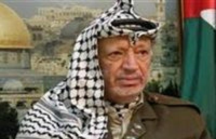 بندقية ثائر على غصن زيتون.. الذكرى الـ15 لرحيل الرئيس الفلسطيني ياسر عرفات