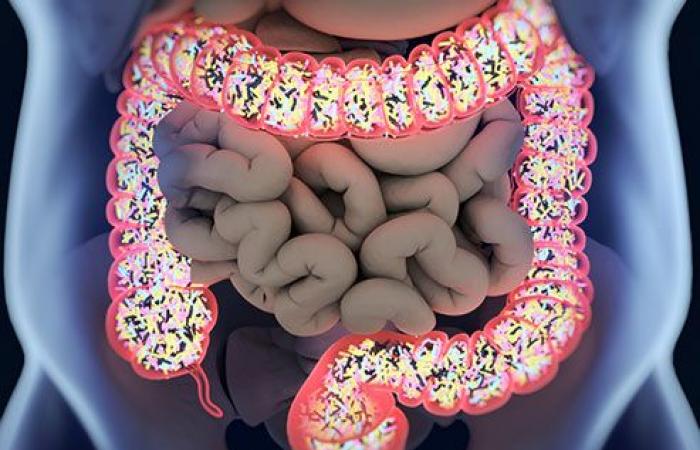 10 حقائق مدهشة عن الأمعاء "الدماغ الثانى عند الإنسان".. 95% من هرمونات السعادة موجودة ببطنك.. حمض المعدة ممكن يحرق جلدك لكن لا يحرق معدتك ووصوله للمرئ يسبب الحموضة.. الأمعاء بيت كبير للبكتيريا والميكروبات