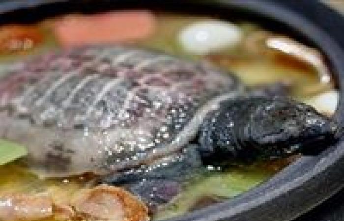 ما هو طبق "لحم السلاحف" الذي يُعالج به مرضى كورونا في الصين؟