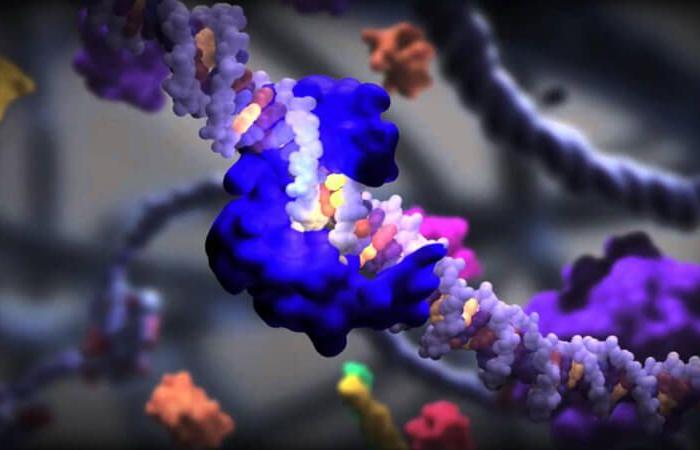 مش بس كورونا..تحليل pcr يكشف عن الأمراض الوراثية وأساسى فى الطب الشرعى..يثبت النسب ويكشف الإصابة بالفيروسات والبكتيريا.. اخترع عام 1983 وصاحبه حصل على جائزة نوبل بعد عشر سنوات .. والصحة توفره بـ1000 جنيه فقط