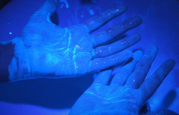 تجربة عملية بالفيديو تكشف كيف ينتصر الصابون على فيروس كورونا ويتسبب فى موته.. يخترق طيات الجلد ثم يلتصق بالفيروس.. يدمر الغلاف المحيط بكورونا ويجعله يذوب بالماء.. وباحث: غسل اليدين هو النصيحة الأفضل