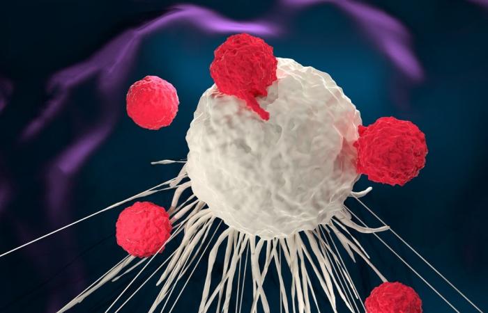 الخلايا التائية خط دفاع المناعة فى حرب كورونا.. تقتل الخلايا المصابة وتحفز أخرى لمحاربة الفيروس.. خلايا B تصنع أجسام مضادة تتعرف على الفيروس إذا أصاب الجسم مرة أخرى.. نزلة برد سابقة قد تُكسبك مناعة