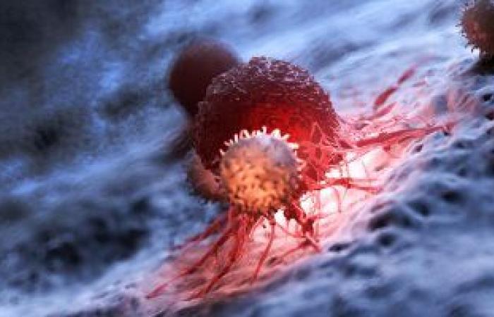الخلايا التائية خط دفاع المناعة فى حرب كورونا.. تقتل الخلايا المصابة وتحفز أخرى لمحاربة الفيروس.. خلايا B تصنع أجسام مضادة تتعرف على الفيروس إذا أصاب الجسم مرة أخرى.. نزلة برد سابقة قد تُكسبك مناعة