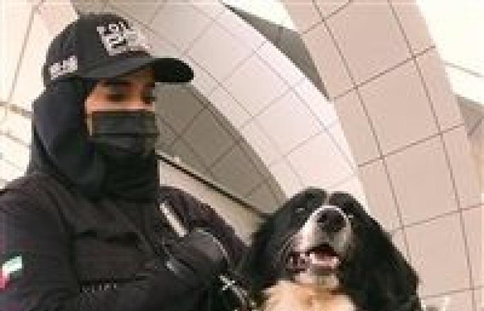 لأول مرة.. الإمارات تستخدم الكلاب البوليسية في الكشف عن كورونا