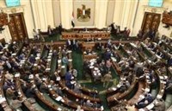البريد السريع.. تسهيلات الدولة لتصويت المصريين بالخارج في انتخابات الشيوخ