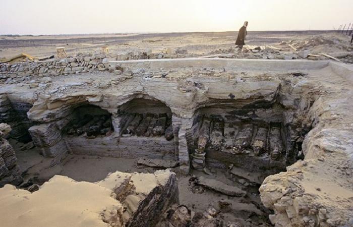 "Eco Egypt" أول حملة وطنية لتنشيط السياحة البيئية فى الخارج.. وزارة البيئة تطلق موقعا إلكترونيا لتسويق 13 محمية طبيعية وجذب استثمارات للقطاع.. "حنكوراب" واحد من أفضل 25 شاطئا بالعالم فى وادى الجمال