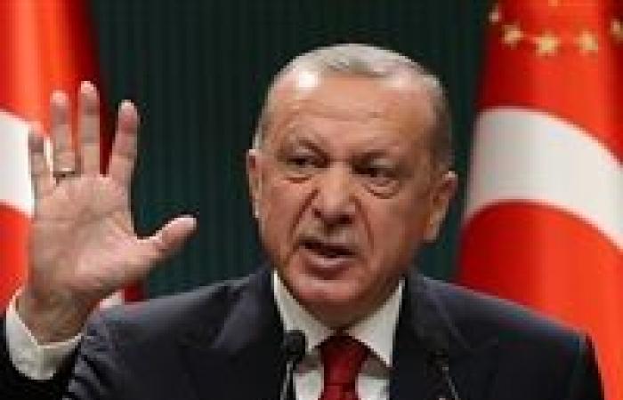 إهانة أردوغان ووزير داخليته.. أحدث اتهامات النظام التركي لقمع معارضيه