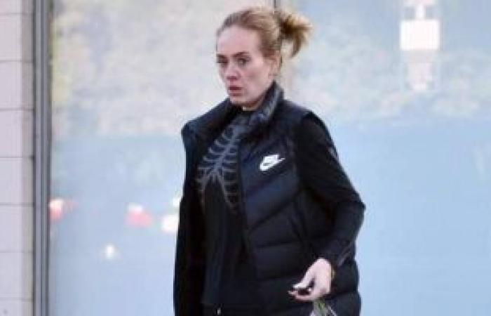 عودة "Adele" ليست الأولى.. الربع الأخير من 2021 يشهد طفرة فى عالم الموسيقى.. سنوب دوج يقترب من طرح ألبومه الجديد بمشاركة Eminem.. وذا ويكنيد وسيلين ديون يبدأن رحلاتهما الموسيقية بعد توقف عامين.. صور