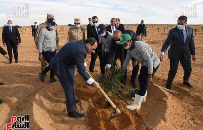 دندراوى الهوارى يكتب: مصر الخضراء من الدلتا الجديدة إلى توشكى.. الرئيس يعيد مصر لمجدها الزراعى القديم "قبلة إطعام الجائعين وسلة غلال العالم".. وشهادة إسبانية/ألمانية بأن سنة السيسى بـ20 سنة إنجازات في دول أخرى