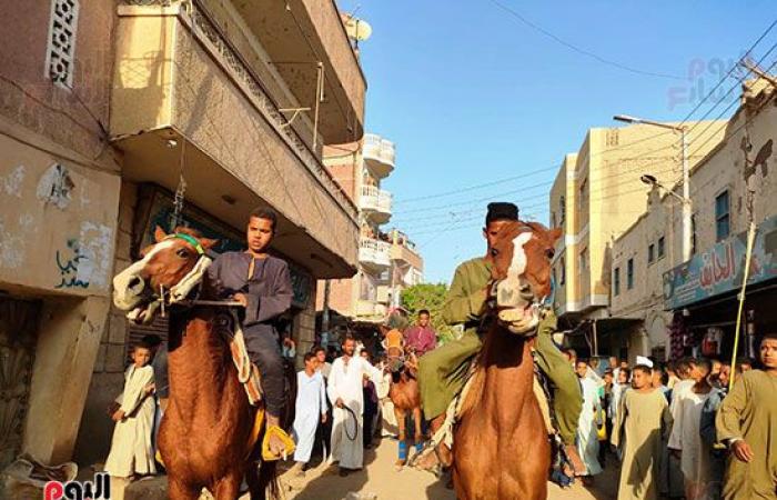 الأقصر تختتم احتفالاتها بالمولد النبوى الشريف بطقوس وعادات على طريقتها الخاصة.. احتفالات كرنفالية فى "دورة المولد" الشهيرة بالجمال والهوادج والأحصنة.. ومسيرات تجوب المنازل بمناطق الكرنك والعوامية ومنشأة العمارى