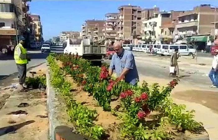 علشان نواجه التلوث ونتنفس.. تفاصيل المبادرة الرئاسية "100 مليون شجرة" بالبحيرة.. زراعة أكثر من 300 ألف شجرة مثمرة بالطرق والشوارع والميادين والمدارس.. ومسار العائلة المقدسة يتزين بأشجار الزيتون والماهوجنى.. صور