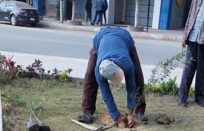 علشان نواجه التلوث ونتنفس.. تفاصيل المبادرة الرئاسية "100 مليون شجرة" بالبحيرة.. زراعة أكثر من 300 ألف شجرة مثمرة بالطرق والشوارع والميادين والمدارس.. ومسار العائلة المقدسة يتزين بأشجار الزيتون والماهوجنى.. صور