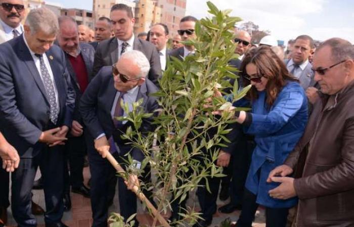 علشان نواجه التلوث ونتنفس.. تفاصيل المبادرة الرئاسية "100 مليون شجرة" بالبحيرة.. زراعة أكثر من 300 ألف شجرة مثمرة بالطرق والشوارع والميادين والمدارس.. ومسار العائلة المقدسة يتزين بأشجار الزيتون والماهوجنى.. صور