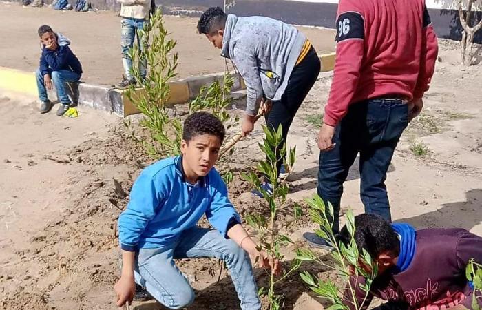 علشان نواجه التلوث ونتنفس.. تفاصيل المبادرة الرئاسية "100 مليون شجرة" بالبحيرة.. زراعة أكثر من 300 ألف شجرة مثمرة بالطرق والشوارع والميادين والمدارس.. ومسار العائلة المقدسة يتزين بأشجار الزيتون والماهوجنى.. صور