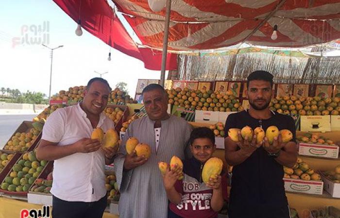 بدء طرح بشاير المانجو الإسماعيلاوى.. تنافس  "الصعيدى" المطروح بالأسواق منذ أسابيع والسكرى الأبيض بـ30 جنيها.. تراجع كمية المحصول بنسبة 50% عن العام الماضى ‎.. والأسواق تستعد لاستقبال العويس والنعومى والصديقة