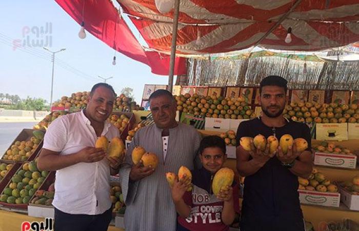 بدء طرح بشاير المانجو الإسماعيلاوى.. تنافس  "الصعيدى" المطروح بالأسواق منذ أسابيع والسكرى الأبيض بـ30 جنيها.. تراجع كمية المحصول بنسبة 50% عن العام الماضى ‎.. والأسواق تستعد لاستقبال العويس والنعومى والصديقة