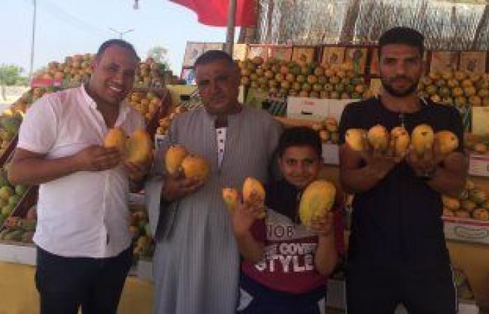 بدء طرح بشاير المانجو الإسماعيلاوى.. تنافس  "الصعيدى" المطروح بالأسواق منذ أسابيع والسكرى الأبيض بـ30 جنيها.. تراجع كمية المحصول بنسبة 50% عن العام الماضى ‎.. والأسواق تستعد لاستقبال العويس والنعومى والصديقة