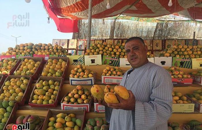 بدء طرح بشاير المانجو الإسماعيلاوى.. تنافس  "الصعيدى" المطروح بالأسواق منذ أسابيع والسكرى الأبيض بـ30 جنيها.. تراجع كمية المحصول بنسبة 50% عن العام الماضى ‎.. والأسواق تستعد لاستقبال العويس والنعومى والصديقة