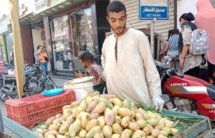 "التين الشوكى" أشهر فواكه الصيف بأسيوط ومصدر رزق لمئات الشباب.. التجار يجلبونها من الوجه البحرى ويبيعونها فى شوارع المحافظة.. طعم مميز وغنى بالعناصر الغذائية وسعر الثمرة الواحدة يبدأ من 3 جنيهات.. فيديو وصور