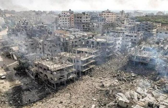 الحركة الوطنية: موقف الدولة المصرية ثابت منذ بداية العدوان على غزة
