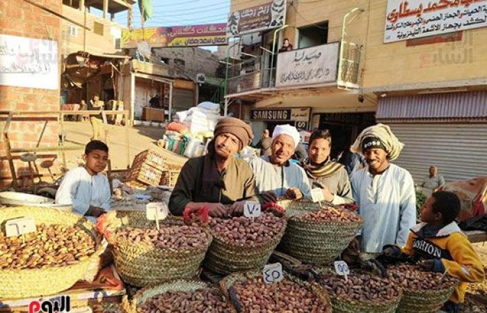 البلح الأسوانى يغزو أسواق الأقصر استعدادا لشهر رمضان.. أشهر أصنافه السكوتى والقنديلة وشامية وبياضة وبرتمودى.. الأسعار من 30 جنيه وحتى 70 جنيهاً حسب الجودة والنوع.. وبائع: السعر زاد 10 جنيهات فقط عن العام الماضى