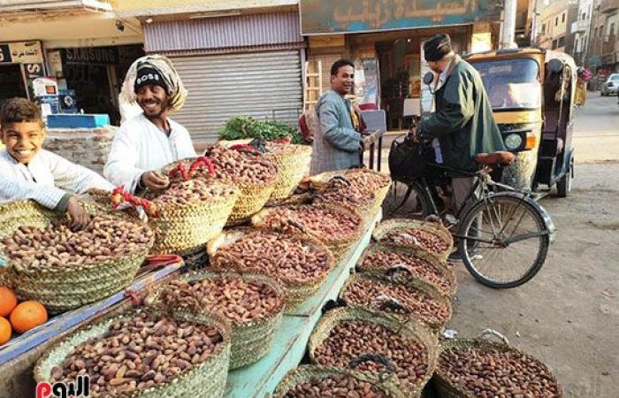 البلح الأسوانى يغزو أسواق الأقصر استعدادا لشهر رمضان.. أشهر أصنافه السكوتى والقنديلة وشامية وبياضة وبرتمودى.. الأسعار من 30 جنيه وحتى 70 جنيهاً حسب الجودة والنوع.. وبائع: السعر زاد 10 جنيهات فقط عن العام الماضى