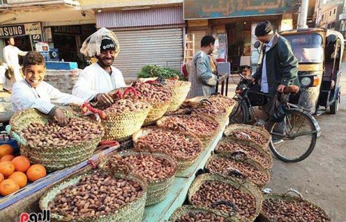 البلح الأسوانى يغزو أسواق الأقصر استعدادا لشهر رمضان.. أشهر أصنافه السكوتى والقنديلة وشامية وبياضة وبرتمودى.. الأسعار من 30 جنيه وحتى 70 جنيهاً حسب الجودة والنوع.. وبائع: السعر زاد 10 جنيهات فقط عن العام الماضى