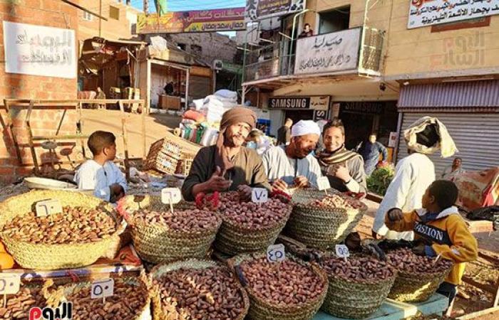 البلح الأسوانى يغزو أسواق الأقصر استعدادا لشهر رمضان.. أشهر أصنافه السكوتى والقنديلة وشامية وبياضة وبرتمودى.. الأسعار من 30 جنيه وحتى 70 جنيهاً حسب الجودة والنوع.. وبائع: السعر زاد 10 جنيهات فقط عن العام الماضى