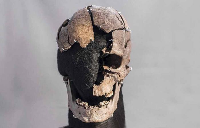عاش قبل 5 آلاف عام.. دراسة تكشف تفاصيل حياة رجل المستنقعات الدنماركى