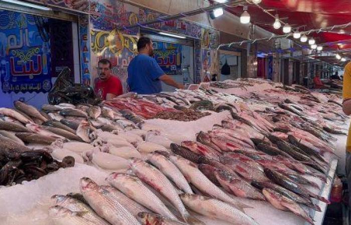 أسعار الأسماك فى الأسواق اليوم السبت 9 مارس 2024