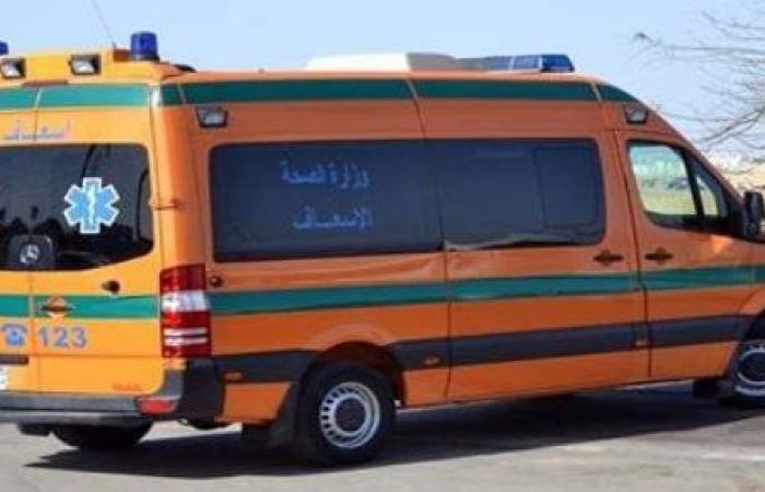 إصابة 12 شخصا فى حادث تصادم سيارة نقل وميكروباص بميت السودان بالدقهلية