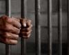 السجن المشدد 15 عاماً لصياد قتل شابا فى كفر الشيخ