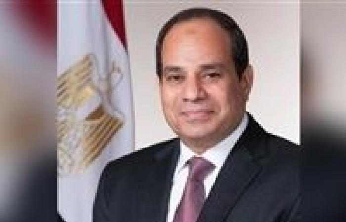 "بلورة السياسة الحكيمة لمصر".. ماذا قالوا عن زيارة "السيسي" للكويت؟