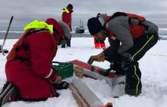 طالبة روسية تقود موسكو لاكتشاف 5 جزر جديدة بعد ذوبان جليد القطب الشمالى.. مارينا ميجونوفا تنبهت لأماكنهم خلال أبحاثها الدراسية 2016.. مساحتهم تقترب من 10 ملاعب كرة قدم.. وروسيا تستعد لتسجيلهم رسميا.. فيديو وصور