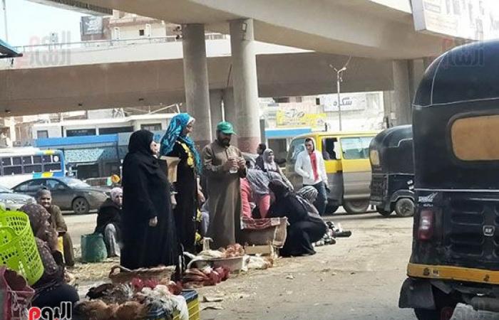 صور.. استمرار ذبح الطيور الحية بالمخالفة للقانون.. إلقاء المخلفات بميدان الشون بالمحلة ينذر بكارثة.. ربة منزل: أشترى الدواجن المذبوحة أمامى.. تاجر: الزبون عايز كده.. والطب البيطرى: خطر يهدد حياة المواطنين