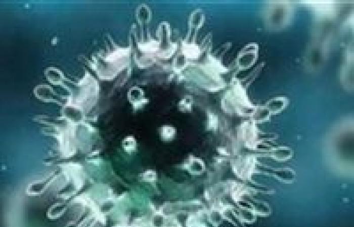 7 إجراءات اتخذتها مصر لمواجهة فيروس الكورونا