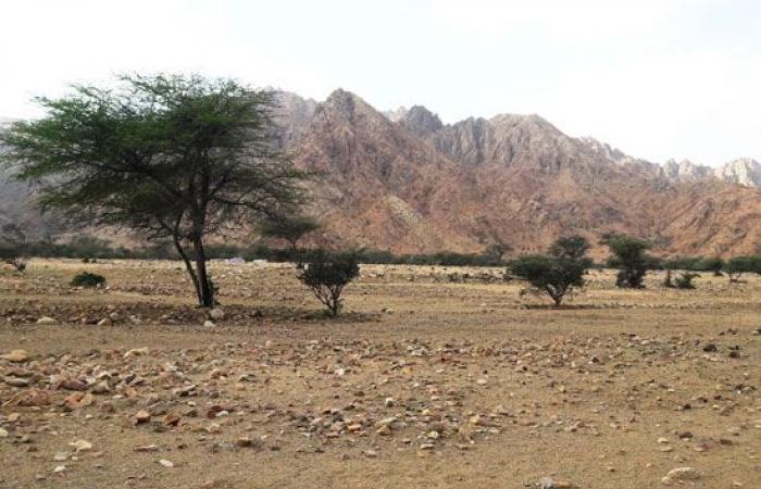 صور.. "الشايب وحماطة وعلبة" أعلى شواهق جبلية فى البحر الأحمر.. الأول ارتفاعه 2187 مترا والثانى 1977 والثالث 1435.. القمم تمثل علامات مميزة فى الصحراء الشرقية.. أحد أبناء القبائل: نعتبرها من دلائل الطريق