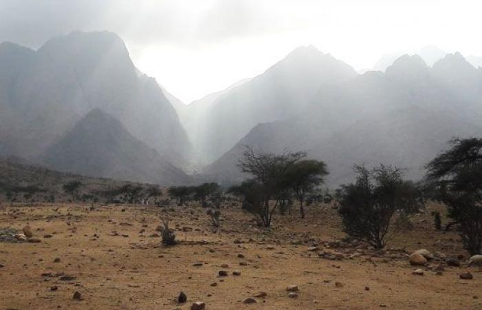 صور.. "الشايب وحماطة وعلبة" أعلى شواهق جبلية فى البحر الأحمر.. الأول ارتفاعه 2187 مترا والثانى 1977 والثالث 1435.. القمم تمثل علامات مميزة فى الصحراء الشرقية.. أحد أبناء القبائل: نعتبرها من دلائل الطريق