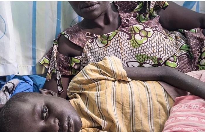 الصحة العالمية تحث البلدان للتحرك لإنقاذ الأرواح من الملاريا بأفريقيا..ومخاوف من تضاعف الحالات فى 2020 مع تفشى فيروس كورونا..وتدعو لتوفير "الناموسيات"المعالجة بالمبيدات الحشرية والأدوية الوقائية للحد من الإصابة