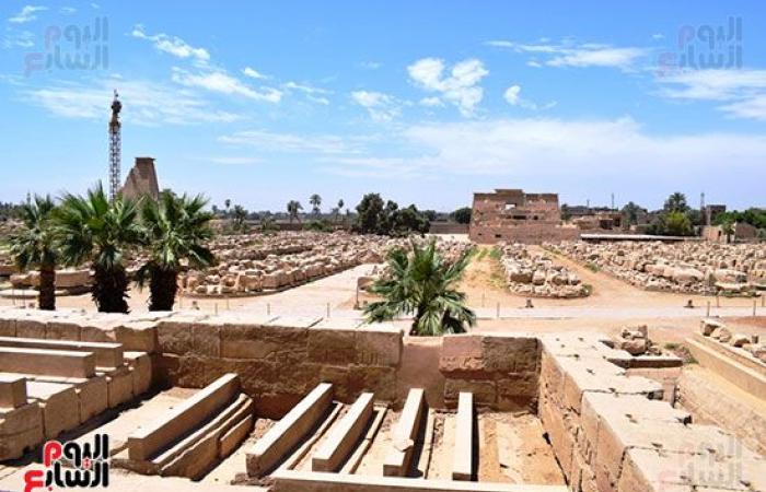 صور.. الفرعون المصرى جاهز للاحتفال.. معابد الكرنك والأقصر وحتشبسوت ومقابر وادى الملوك تتجهز لاستقبال السائحين مجددا نهاية الأسبوع.. حملات تعقيم وتطهير مكثفة وتوزيع كمامات وكحول على العاملين لحمايتهم من كورونا