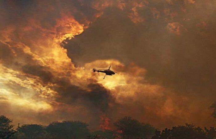 أمريكا اللاتينية مغطاة بالدخان.. 6000 حريق بأمازون البرازيل فى أغسطس.. و11 ألف حريق فى الأرجنتين وأكثر من 16 ألفا ببوليفيا والمكسيك تخمد 70 يوميا.. النيران دمرت 700 نوع من النباتات والحيوانات