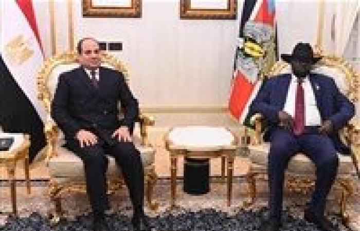 مباحثات مثمرة.. نص كلمة الرئيس السيسي في زيارته لجنوب السودان