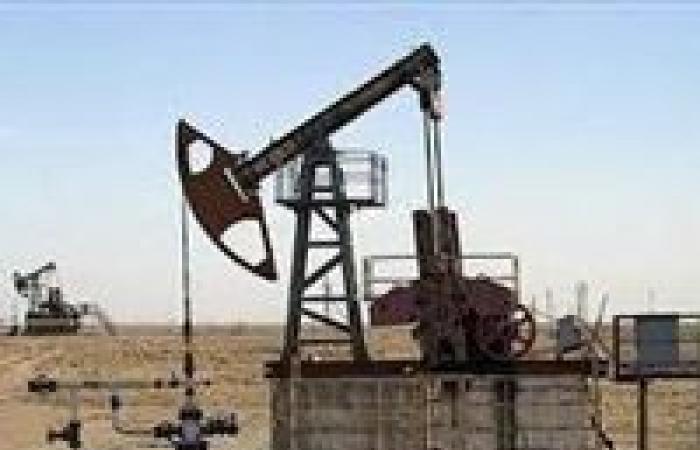 7 معلومات عن أحدث الاكتشافات النفطية في مصر.. تعرف عليهم