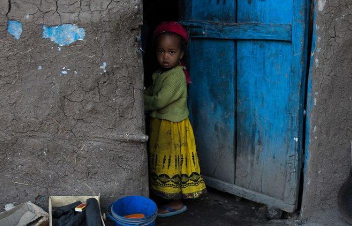 الجوع في تيجراى.. برنامج الأغذية العالمي: 3 ملايين يحتاجون لمساعدات طارئة بعد شهور من الحرب بأثيوبيا .. 875 ألف طفل مهددون بسوء التغذية.. الأمم المتحدة: نحتاج 107 ملايين دولار لتنفيذ خطة معونه غذائية لـ6 أشهر