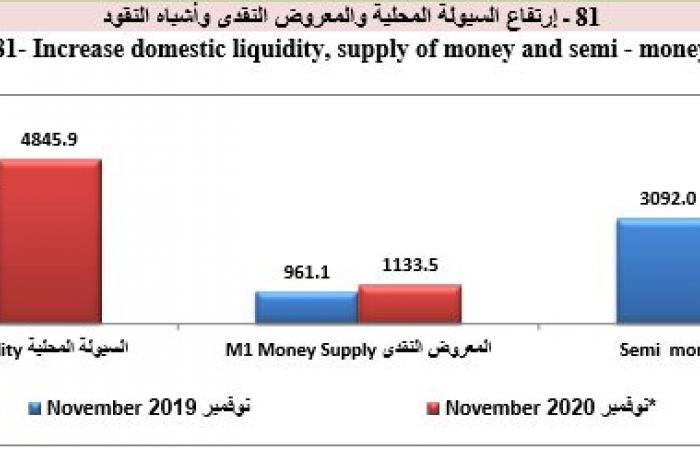 كم يدخر المصريون بالبنوك.. "الإحصاء": 5 تريليونات جنيه ودائع البنوك فى نوفمبر الماضى.. القطاع المصرفى قدم تسهيلات بتريليون و924 مليار جنيه للقطاع الخاص والعائلى.. والسيولة المحلية ارتفعت إلى 4 تريليونات جنيه